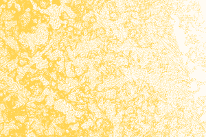 Texture in yellow and white grain