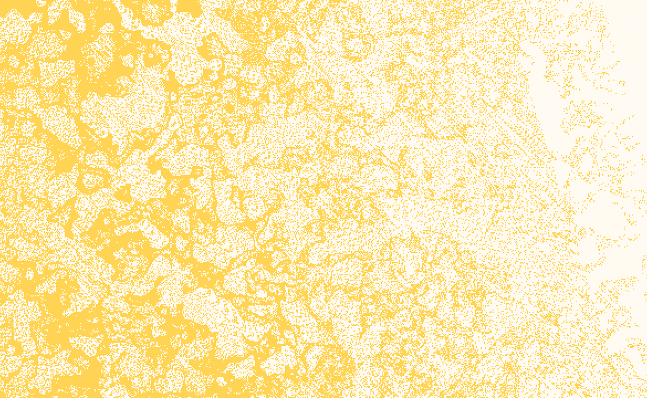 Texture in yellow and white grain